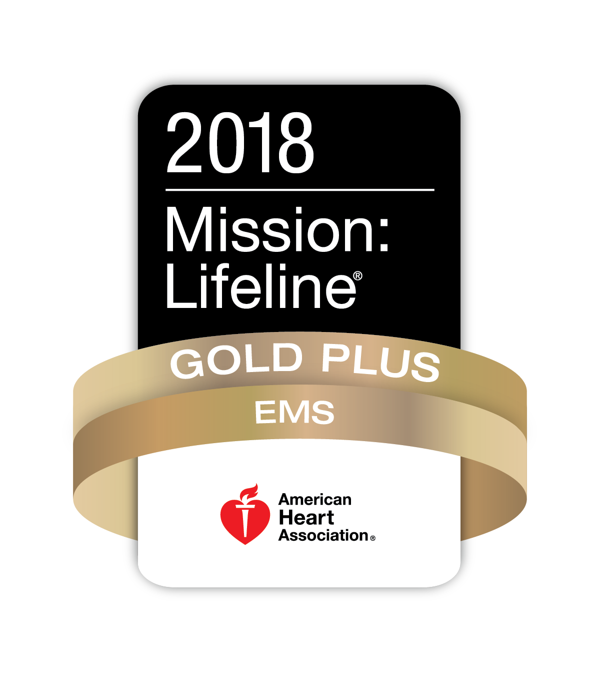 Mission Lifeline Gold Plus EMS Award 2017